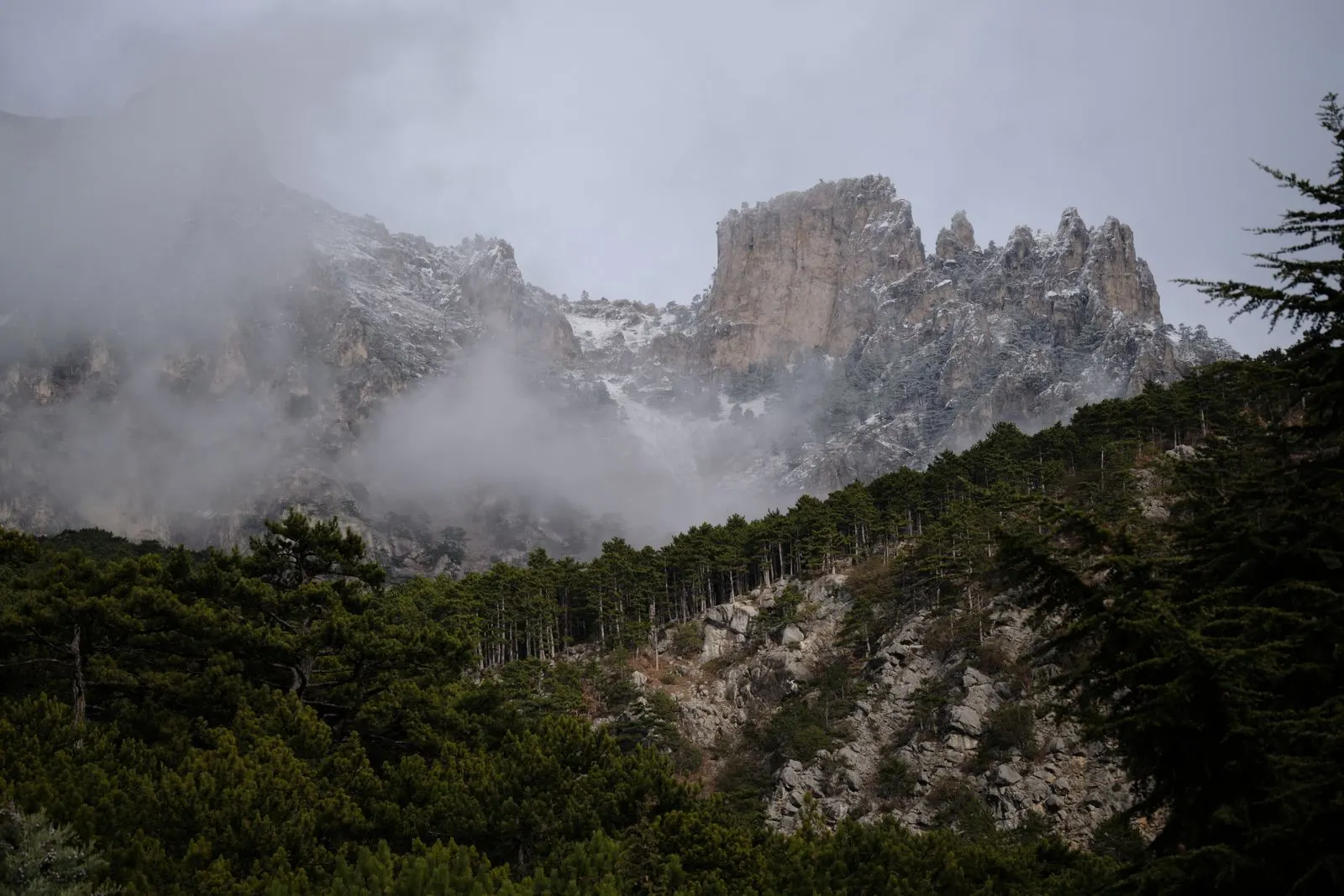 Pine forest beneath rocky mountain peaks partly covered by mist